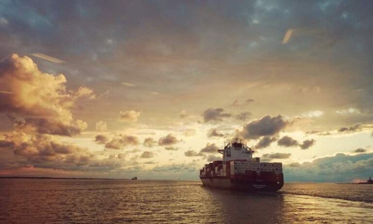 Regional carriers steam in to add more services to lucrative India-Red Sea trade