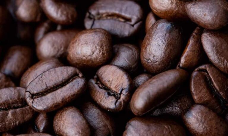 India’s coffee exports rise 19% in value despite volume decline