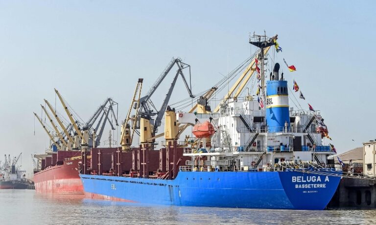 A general view shows ships docked at the Deendayal Port Authority (DPA) in Kandla in India's Gujarat state on April 5, 2025. US President Donald Trump ignited a potentially ruinous global trade war on April 2 as he slapped 10 percent tariffs on imports from around the world and harsh extra levies on key trading partners. (Photo by Sam PANTHAKY / AFP)